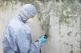 Reliable Cheney, KS Mold Removal & Remediation Solutions